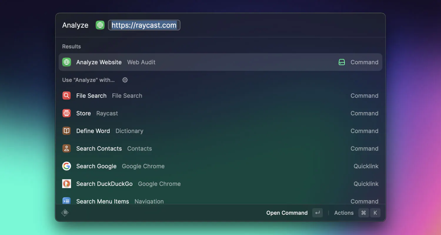 Web Audit Raycast analyze