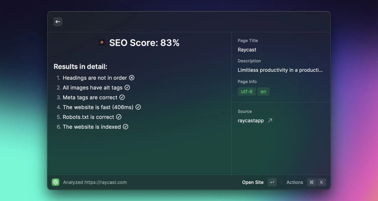 Web Audit Raycast score